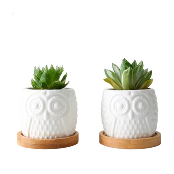 2 Rinkinys Keramikos Sultingi Vazonas Balta Pelėda Vazonus Su Bambuko Plokštelės Laikiklį Mielas Kaktusas Gėlių Vazonai, Bonsai Augintojams Desktop