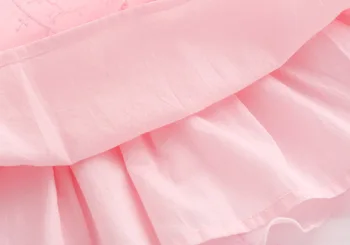 2019 Naujas Gimęs Kūdikis Merginos Rožinė Princesė Dress Medvilnės ilgomis Rankovėmis Šalis Suknelė 6-24m Mergaičių Mados Nėriniai Drabužiai Vaikams, Apranga, Kostiumas