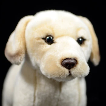 25cm Tikroviška Labradoro Retriveris Pliušiniai Žaislai Minkštas Šuniukas iškamša Lėlės Realiame Gyvenime Geltonas Šuo Žaislai Vaikams Dovanos