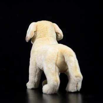 25cm Tikroviška Labradoro Retriveris Pliušiniai Žaislai Minkštas Šuniukas iškamša Lėlės Realiame Gyvenime Geltonas Šuo Žaislai Vaikams Dovanos
