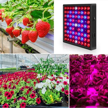 3000W LED Augimo Lempos Augalams Led Grow Light Visą Spektrą Fito Lempos Fitolampy Patalpų Žolės Šviesos efektą Sukeliančių Led Augti