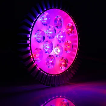 36W viso Spektro LED Grow Light Auginimo Lempos Augalams Gėlių Svogūnėliai Hydroponics Augti Lauke Patalpų Augalų Lempos AC85-265V E27