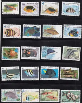 50Pcs/Daug Jūros Žuvų Vandenyno Gyvūnams, Visi Skiriasi Nuo Daugelyje Šalių NE Kartoti neantspauduoti Pašto Ženklų Kolekcionavimas
