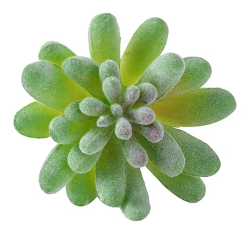 5vnt Žalia, Flocking Dirbtinis Succulents Augalai Bonsai Darbalaukio Padirbtų Augalų Vestuvių Dekoravimas Plante Artificielle Dropshipping