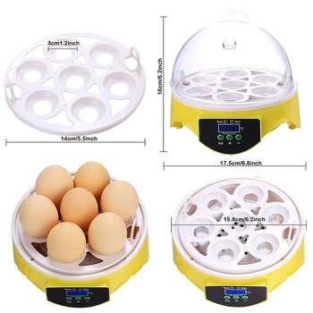 7 Kiaušinių, Vištienos Inkubatorius Paukščių Kiaušiniams, Automatinė Pažangios Kontrolės Inkubacijos Priemonė Namų ūkio Gyvūnų Vištienos Papuošalai