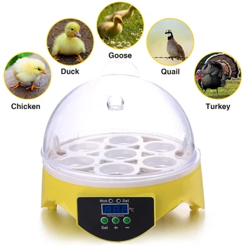 7 Kiaušinių, Vištienos Inkubatorius Paukščių Kiaušiniams, Automatinė Pažangios Kontrolės Inkubacijos Priemonė Namų ūkio Gyvūnų Vištienos Papuošalai