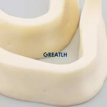 Dantų Implantai Užsiimti Dantų Modelio M2025 Apatinio Žandikaulio kaulų, kaip Dantų implantas modelis Dantų Pratise Modelis