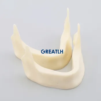 Dantų Implantai Užsiimti Dantų Modelio M2025 Apatinio Žandikaulio kaulų, kaip Dantų implantas modelis Dantų Pratise Modelis