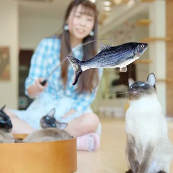 Elektros Pinti Žuvų Katė Žaislas Katžolių Kicker Žaislai Juokingas Interaktyvus Augintiniai Pagalvę Cat Kitten Kitty