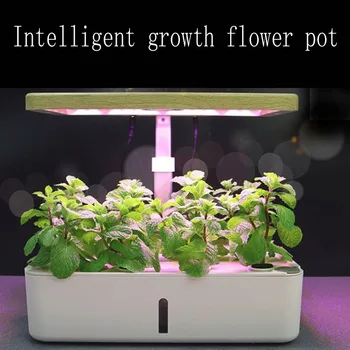 FB protingas soilless auginti gėlių vazonas hydroponic sodinamoji patalpų daržovių sodinti gėlių darželio įranga užpildykite šviesa