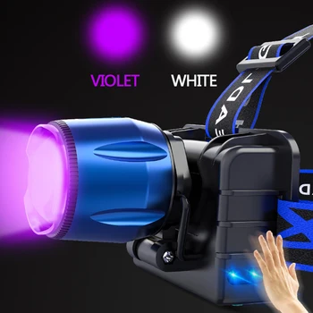 Gebėti suvokti, UV LED 4 Režimai Violetinė Žibintai 8000LM XM-T6 395nm priekinis žibintas Žibintuvėlis, USB Kroviklis Violetinė Galvos Žibintuvėlis Paiešką ŽVEJYBOS
