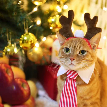 Kalėdų Elnių Lankelis Priedai, Šunų, Kačių Kalėdos Kostiumas Nauji Metai Plaukų Papuošalai Pet Produktų Tiekimą Kačiukai Mažylis