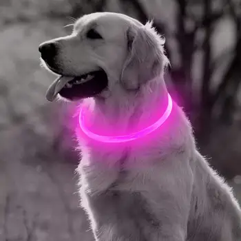 LED Šunų Antkaklis Šviesos USB Įkrovimo Žėrintis Šunų Antkakliai Šviesos Pet Flash Naktį Įkrovimo Antkakliai už Mažas Vidutinis Didelis Šuo