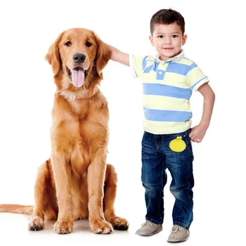 Lauko Nešiojamas Šunų Atlygį Juosmens Krepšys Mokymo Šunų Gydyti Maišelis Maišelis Silikono Pet Mažų Šunų Užkandis Pėsčiomis Krepšys