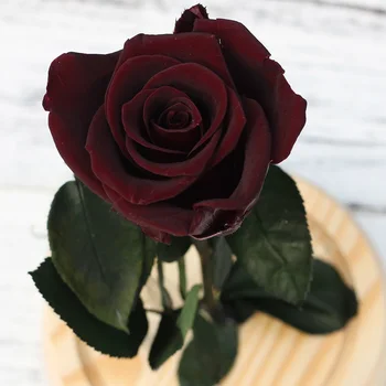 Naujas Grožio Ir Žvėrys Raudonos Rožės Gėlių Ant Medinių Stiklo Kupolas Šviesos Gimtadienio Dovana, Vestuves Namų Puošybai