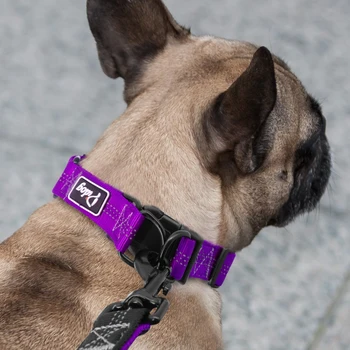 Šviesą Atspindinčios Šuns Antkaklio Sagtis Reguliuojamas Saugos Nailono Naminių Gyvūnėlių Šuniuką Antkakliai Dėl Smulkaus Ir Vidutinio Šunys Pitbull Biglis Apykaklės Perro S M L