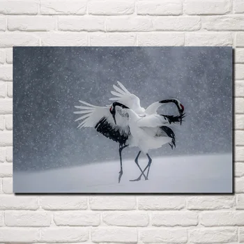 žiemos sniego paukščiai šokių Japonija kranai gyvūnų JZK154 kambarį namo sienos šiuolaikinio meno dekoro medžio rėmas plakatas
